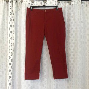 Banana Republic Hampton pant 12